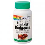 Shiitake Mushroom