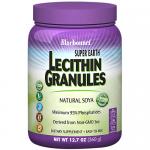Super Earth Lecithin Granules