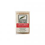 TEA TREE TOOTH PICKS CINNAMON