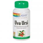 Uva Ursi