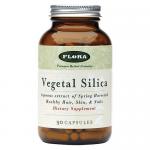 Vegetal Silica