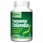 Yaeyama Chlorella