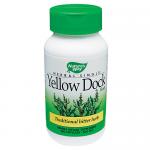 Yellow Dock Root